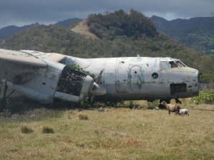 Cuban planes left to deteriorate in the fields